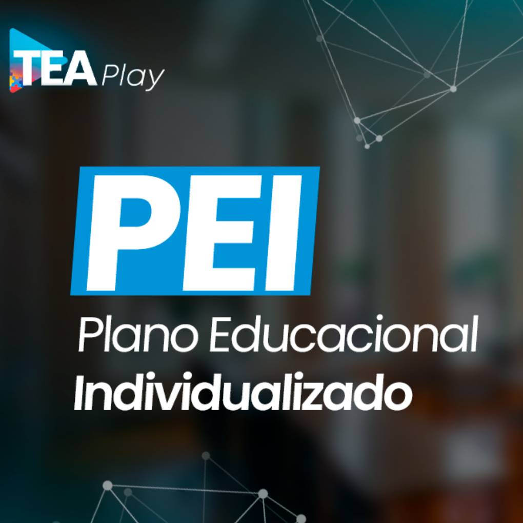  Plano Educacional Individualizado