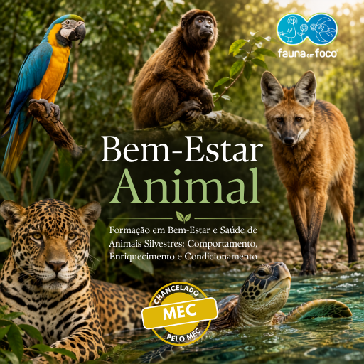 Formação em Bem-Estar e Saúde de Animais Silvestres: Comportamento, Enriquecimento e Condicionamento