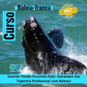 🐋 Curso: Baleia Franca – Biologia, Conservação e Ecoturismo Sustentável