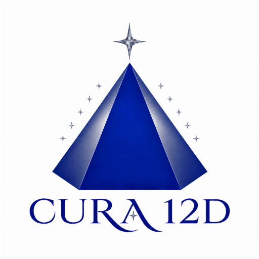 C 12D