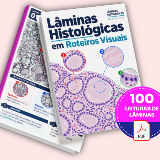 Lâminas Histológicas em Roteiros Visuais - Básico