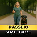 Passeio Sem Estresse
