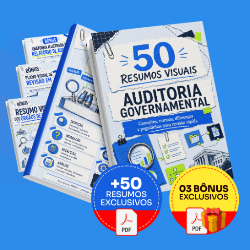 50 Resumos Visuais de Auditoria Governamental - Completo