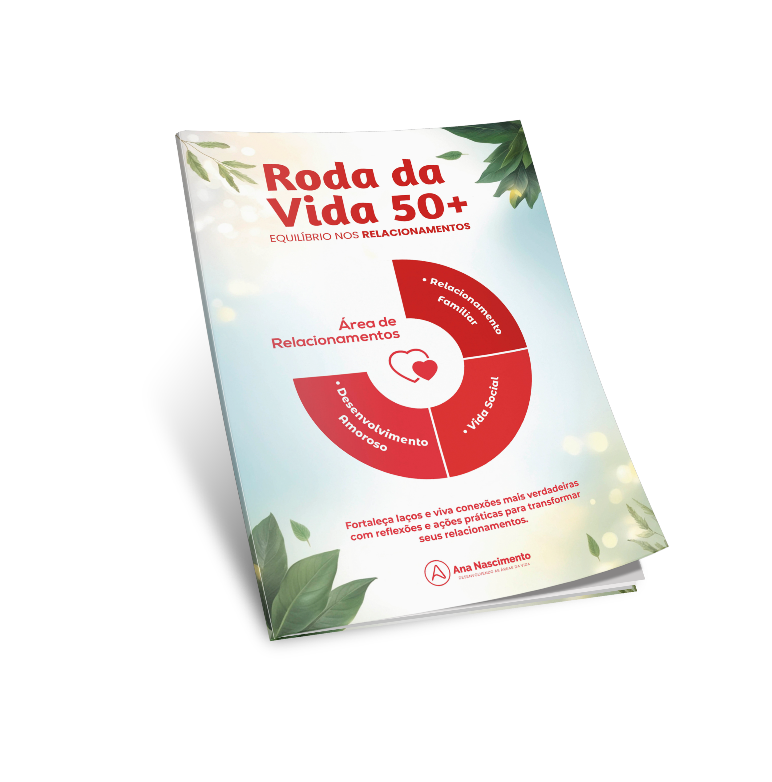 Ebook Roda da Vida 50 + | Área de Relacionamentos
