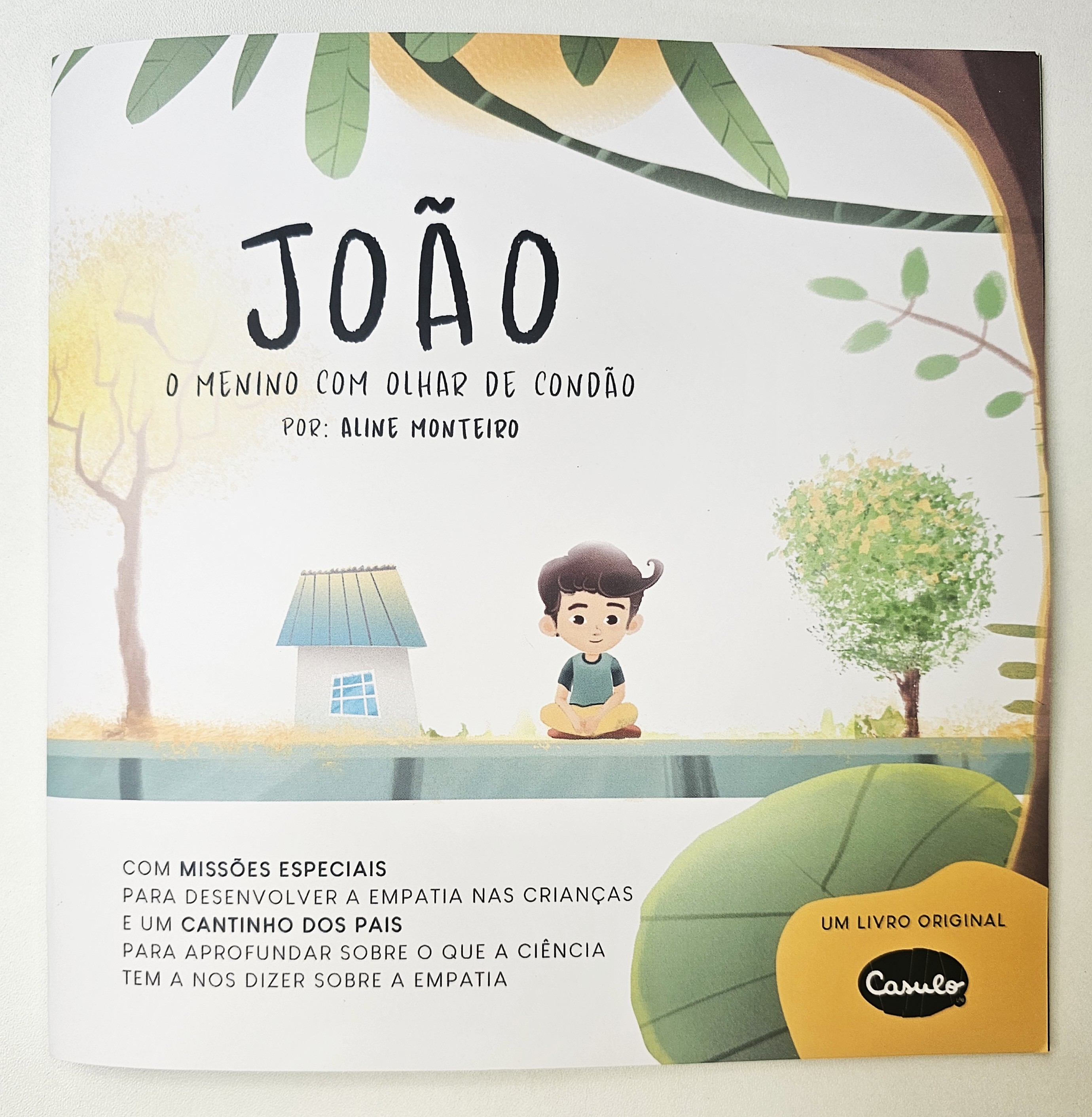 Livro infantil - João, o menino com olhar de condão