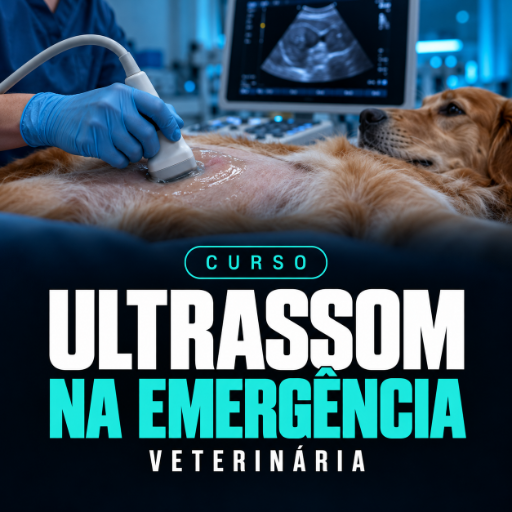 SCANVET Ultrassom na emergência de pequenos animais