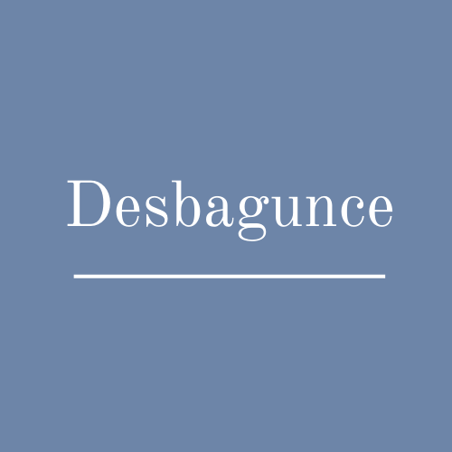 E-book Desbagunce