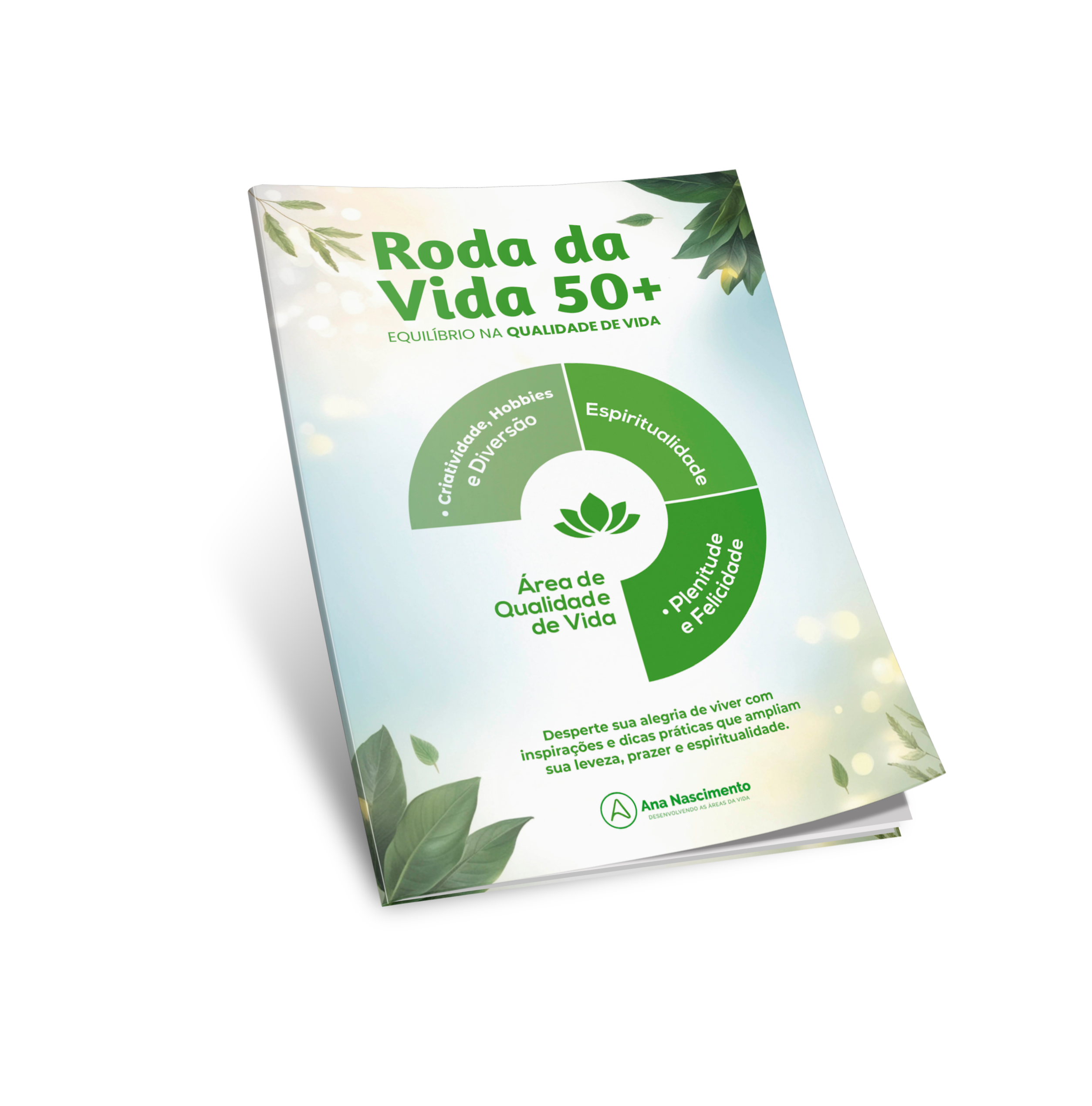 Ebook Roda da Vida 50+ | Área de Qualidade de Vida