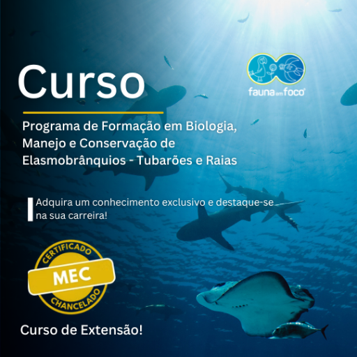 Curso: Programa de Formação em Biologia, Manejo e Conservação de Elasmobrânquios – Tubarões e Raias