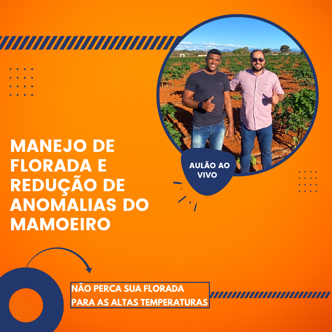 Manejo de florada e redução de anomalias do mamoeiro