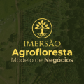 Mentoria Imersiva + Mentoria online em grupo