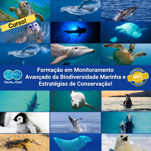 Formação: Monitoramento da Biodiversidade Marinha e Estratégias de Conservação!