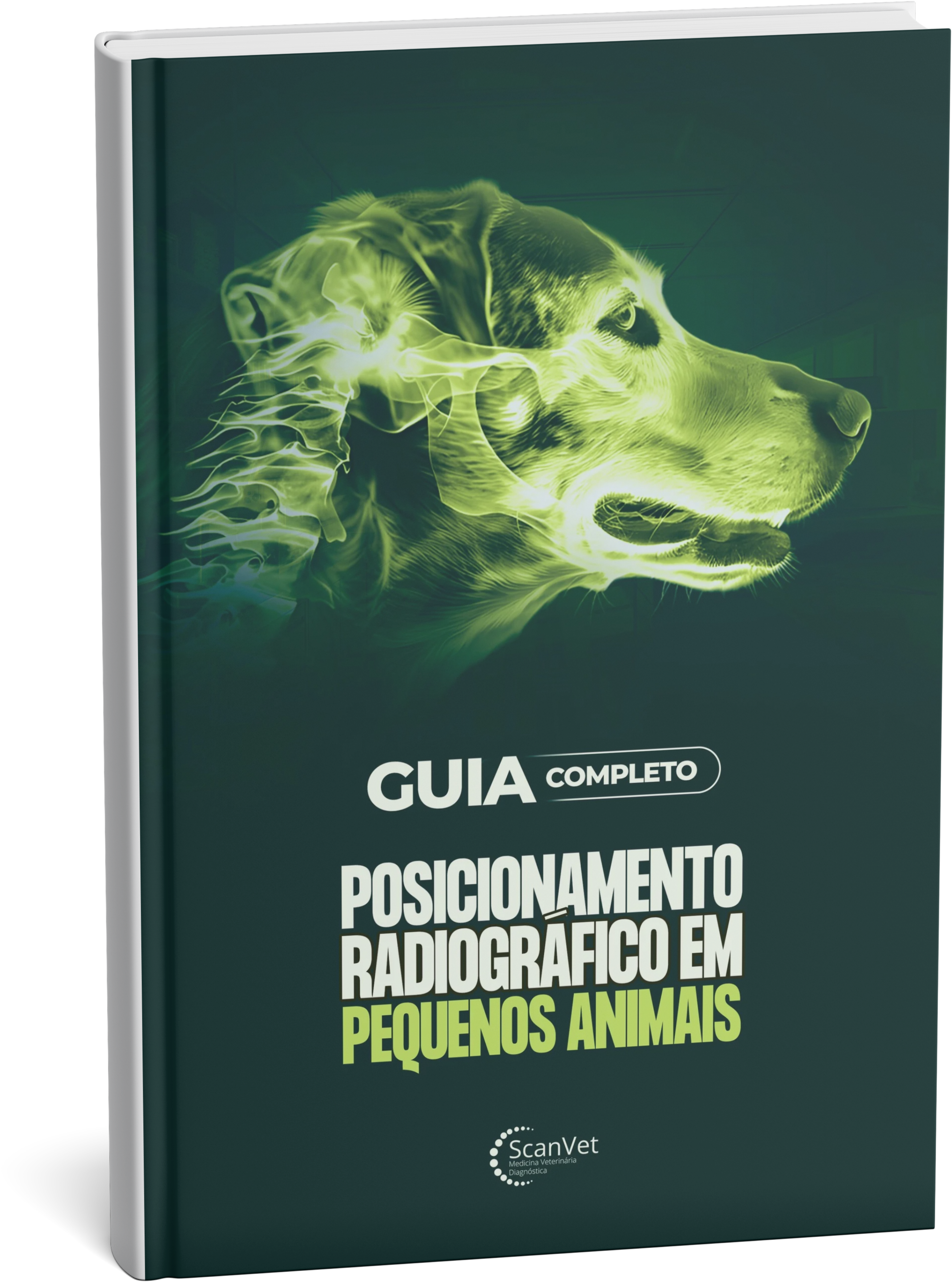 97 Guia de Posicionamento Radiográfico em Pequenos Animais