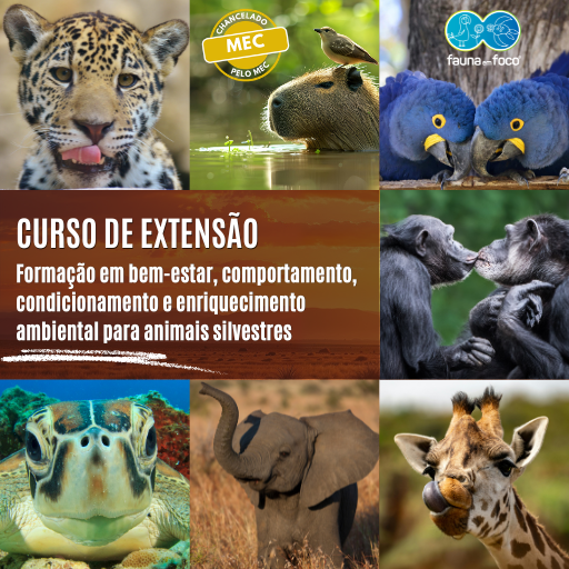 Formação em bem-estar, comportamento, condicionamento e enriquecimento ambiental para animais silvestres