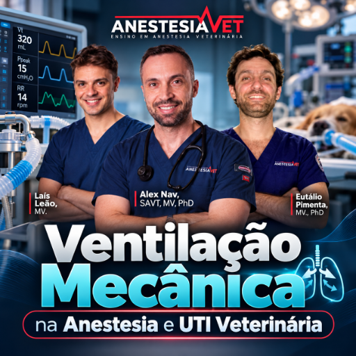 Ventilação Mecânica