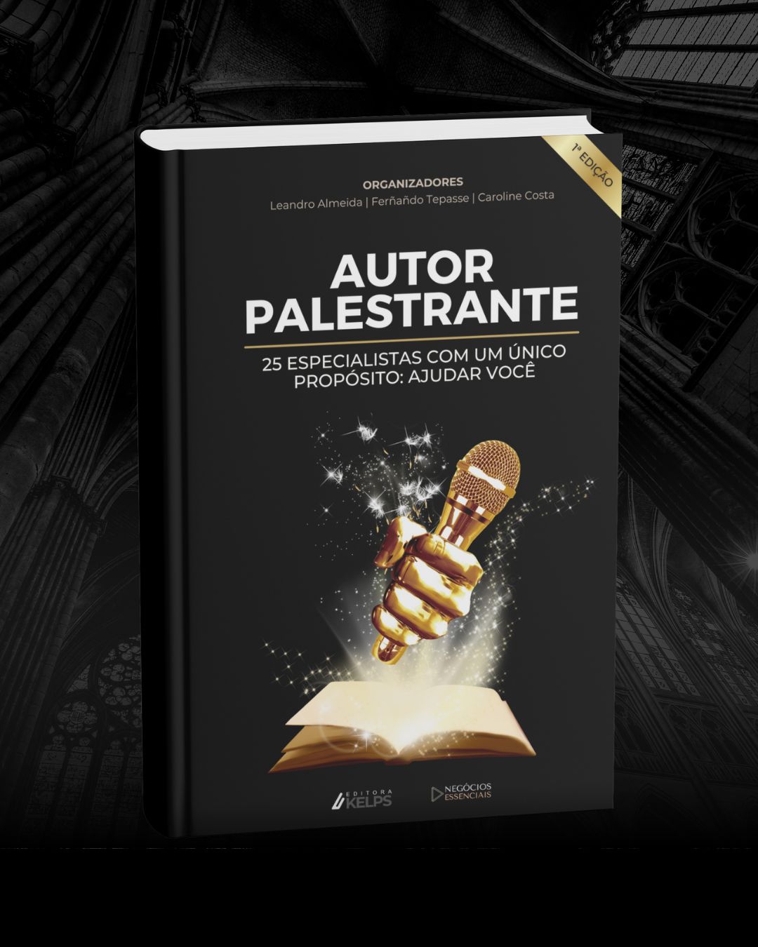 Livro Autor Palestrante