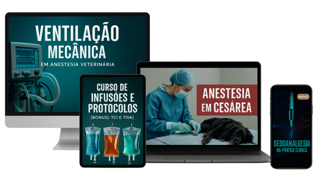 AVET COMBO Cursos Direto ao Ponto