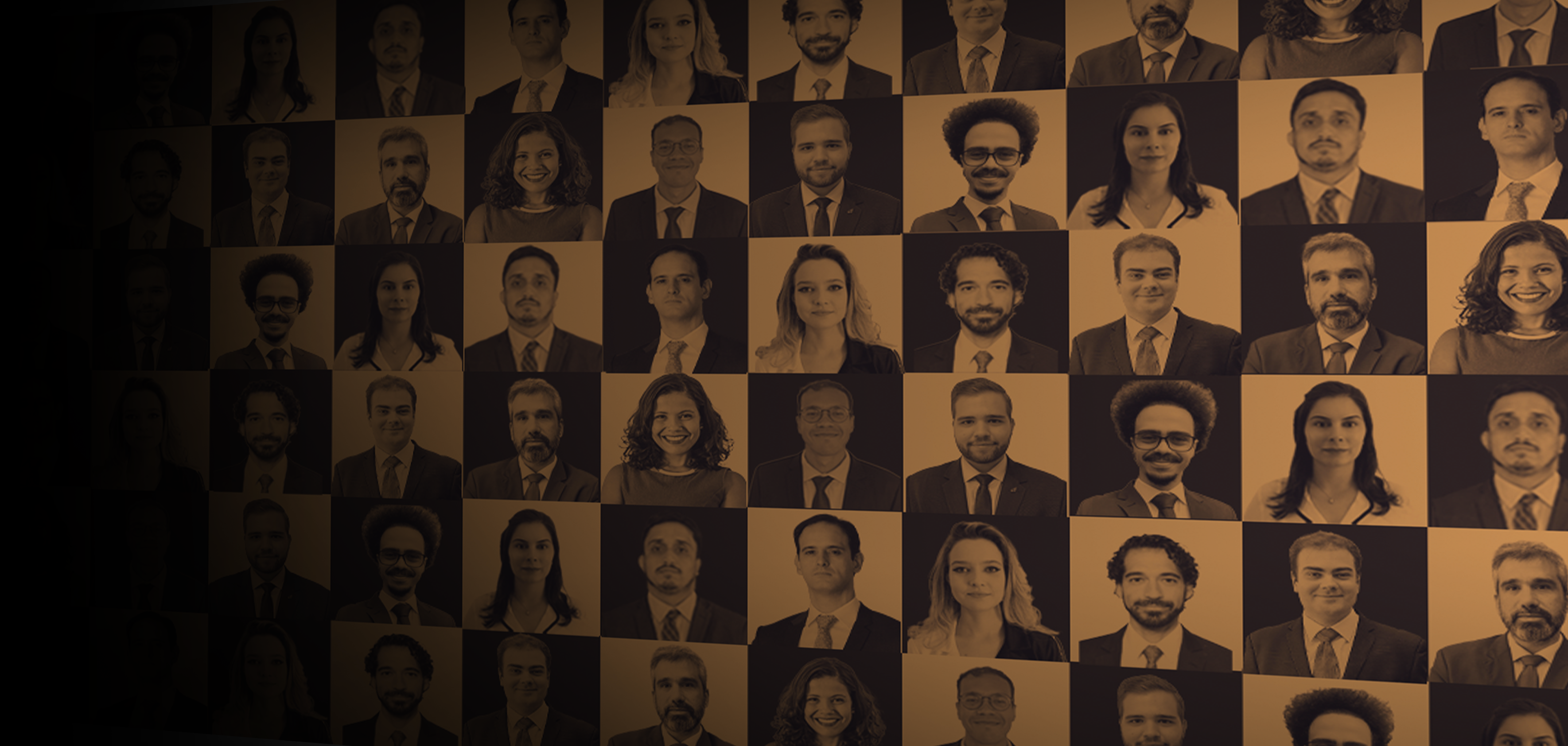 Mentoria Individual - Acompanhamento (4 Sessões)