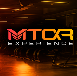 MTOR EXPERIENCE - Black Individual