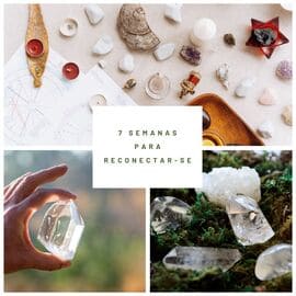 7 Semanas para Reconectar-se