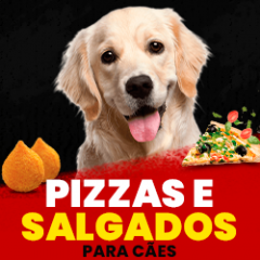 Pizzas e salgados para cães