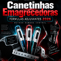 Livro Digital: Canetinhas Emagrecedoras