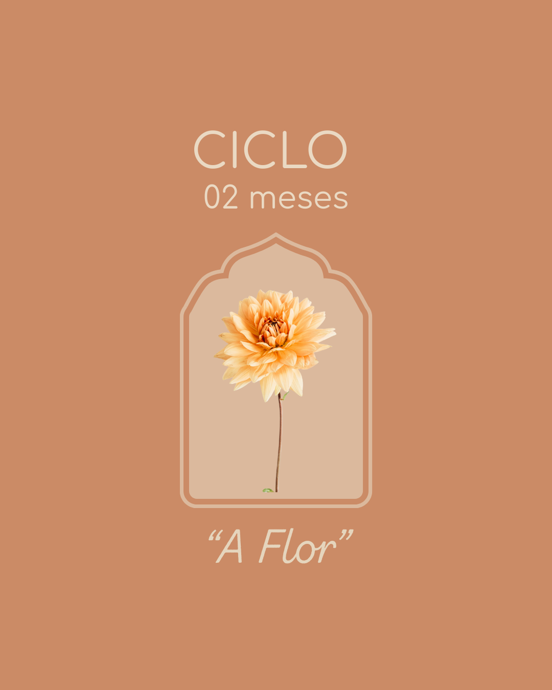 Orientação Psicológica para Negócios Autorais -  "A Flor" - Semanal