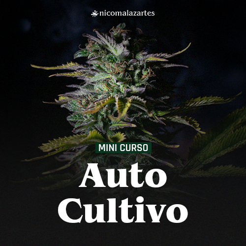 Autocultivo para Iniciantes