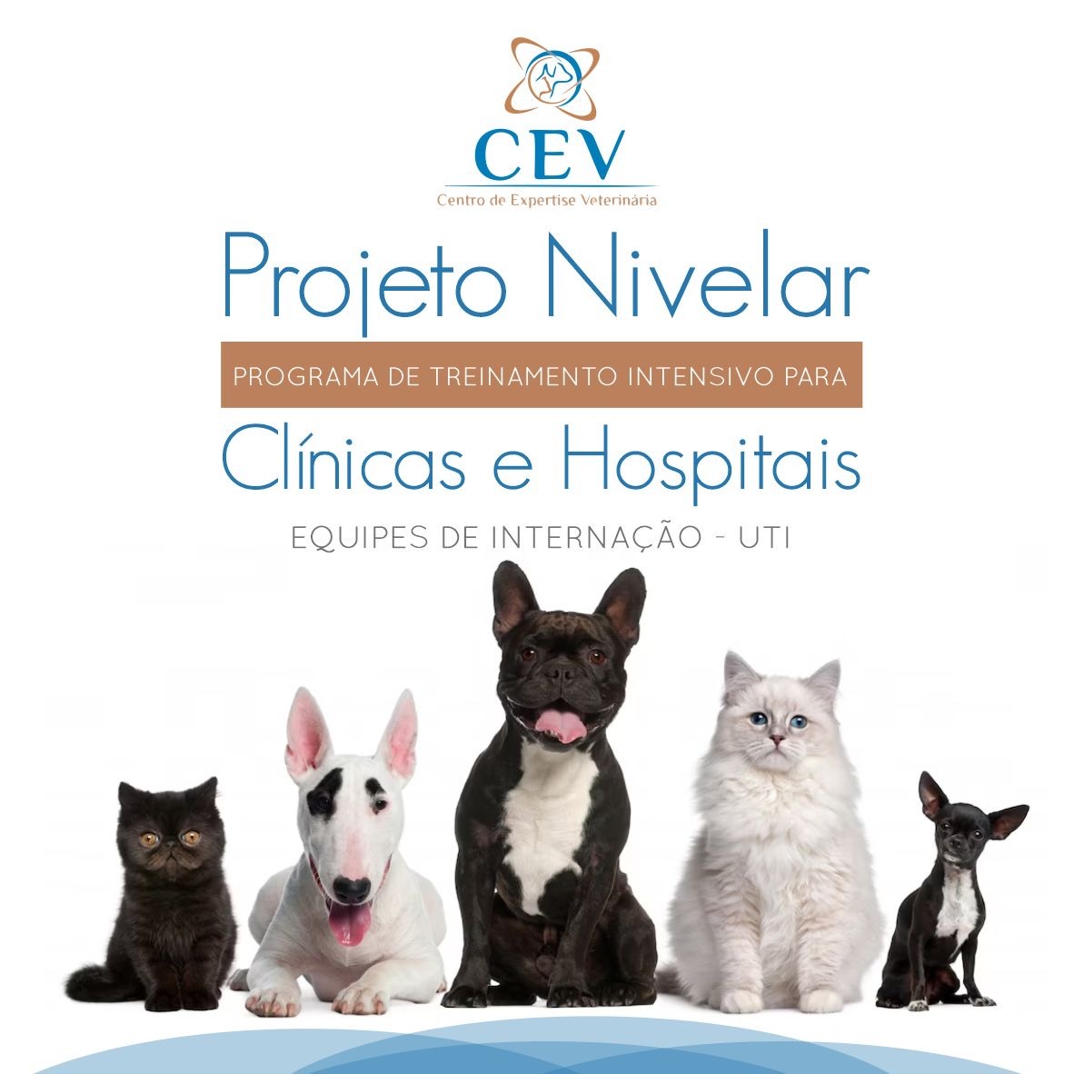Programa de Treinamento Nivelar