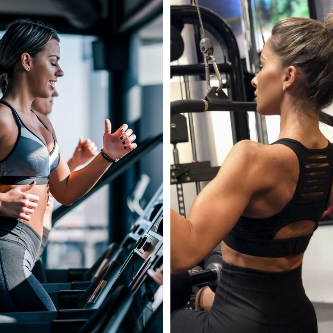 Treino HíbridoDG. ( Trimestral )