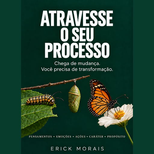 Atravesse Seu Processo