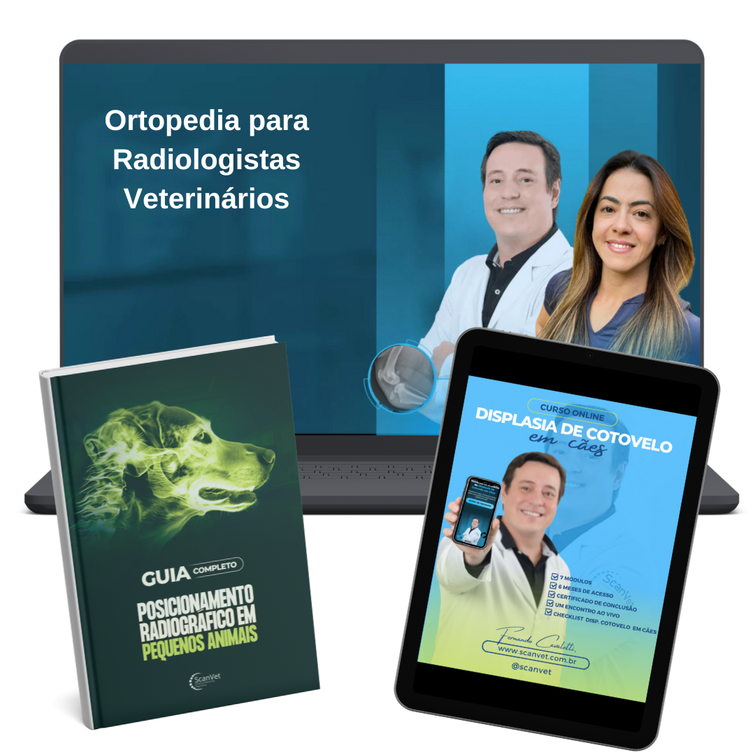 891 Combo Ortopedia e Posicionamento