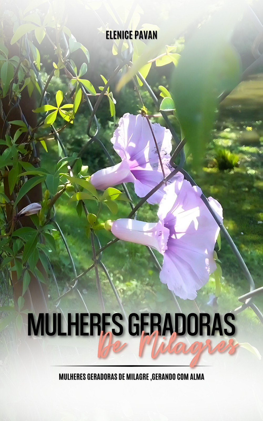 Livro e-book: Mulheres Geradoras de Milagres; gerando com alma 