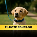 Filhote Educado