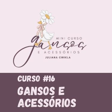 Mini Curso Gansos e Acessórios!