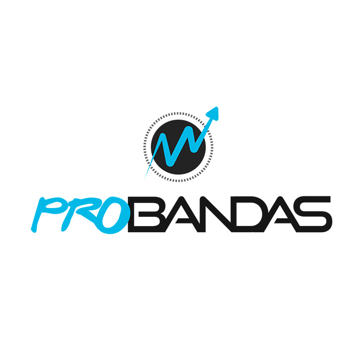 PRO BANDAS  |  1 Ano