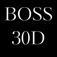 Treinamento Sistema Boss de Si Mesma 30D [últimas vagas]