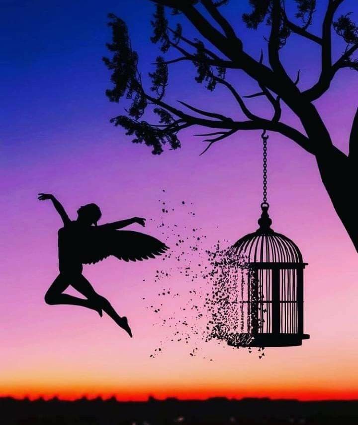 Liberte-se da sua mente