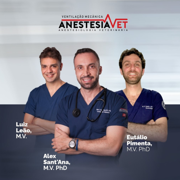 AVET Ventilação Mecânica