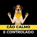 Cão Calmo e Controlado