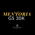 Mentoria GS 30K