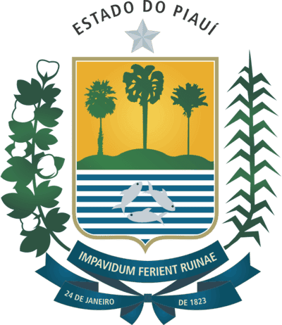 Tabela do Campeonato Piauiense no Excel