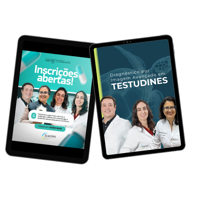 Combo Exóticos Essencial