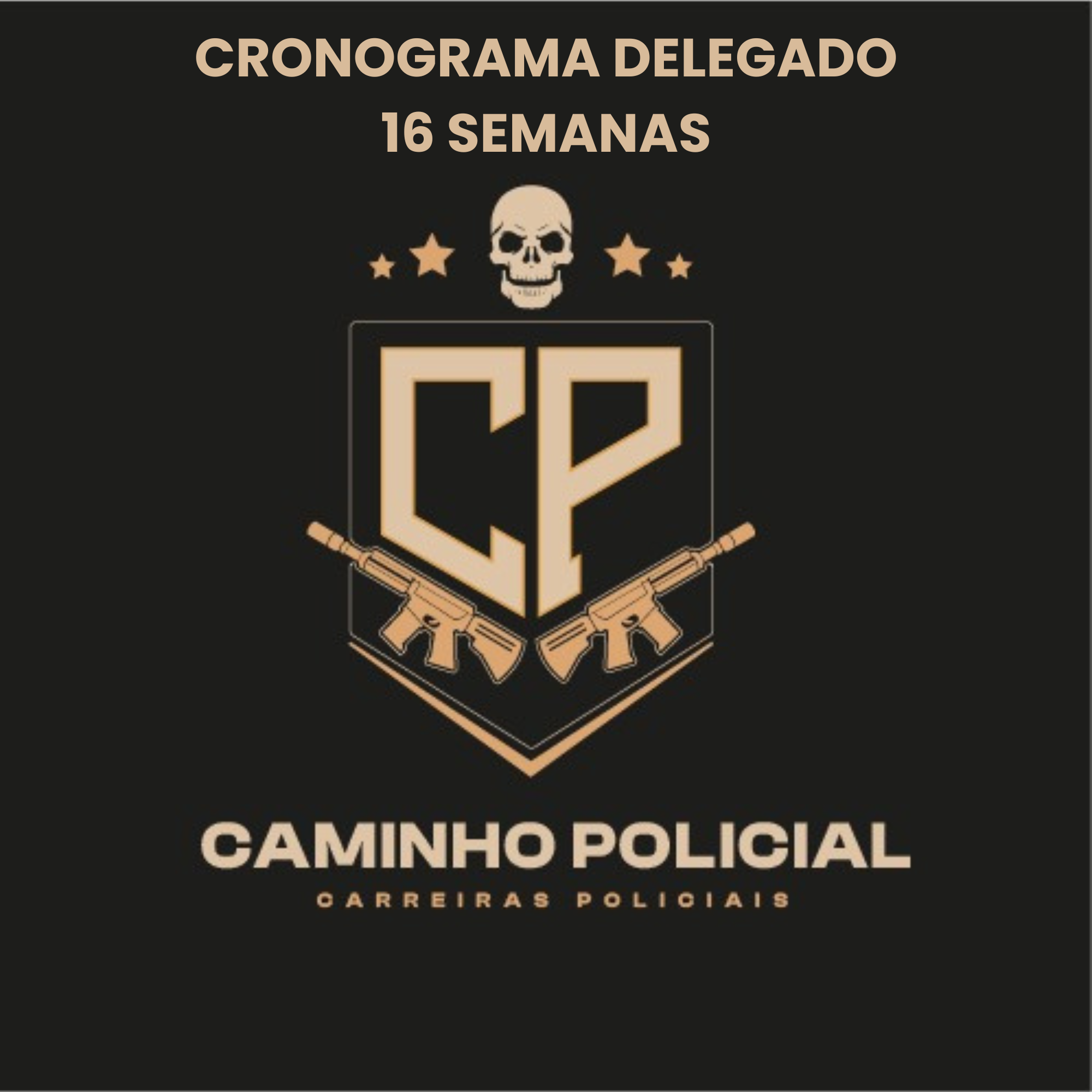 -CRONOGRAMA DELEGADO DE POLÍCIA CIVIL - 16 SEMANAS + DOSSIÊ CAMINHO POLICIAL
