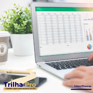 Planilha Trilha Pro 