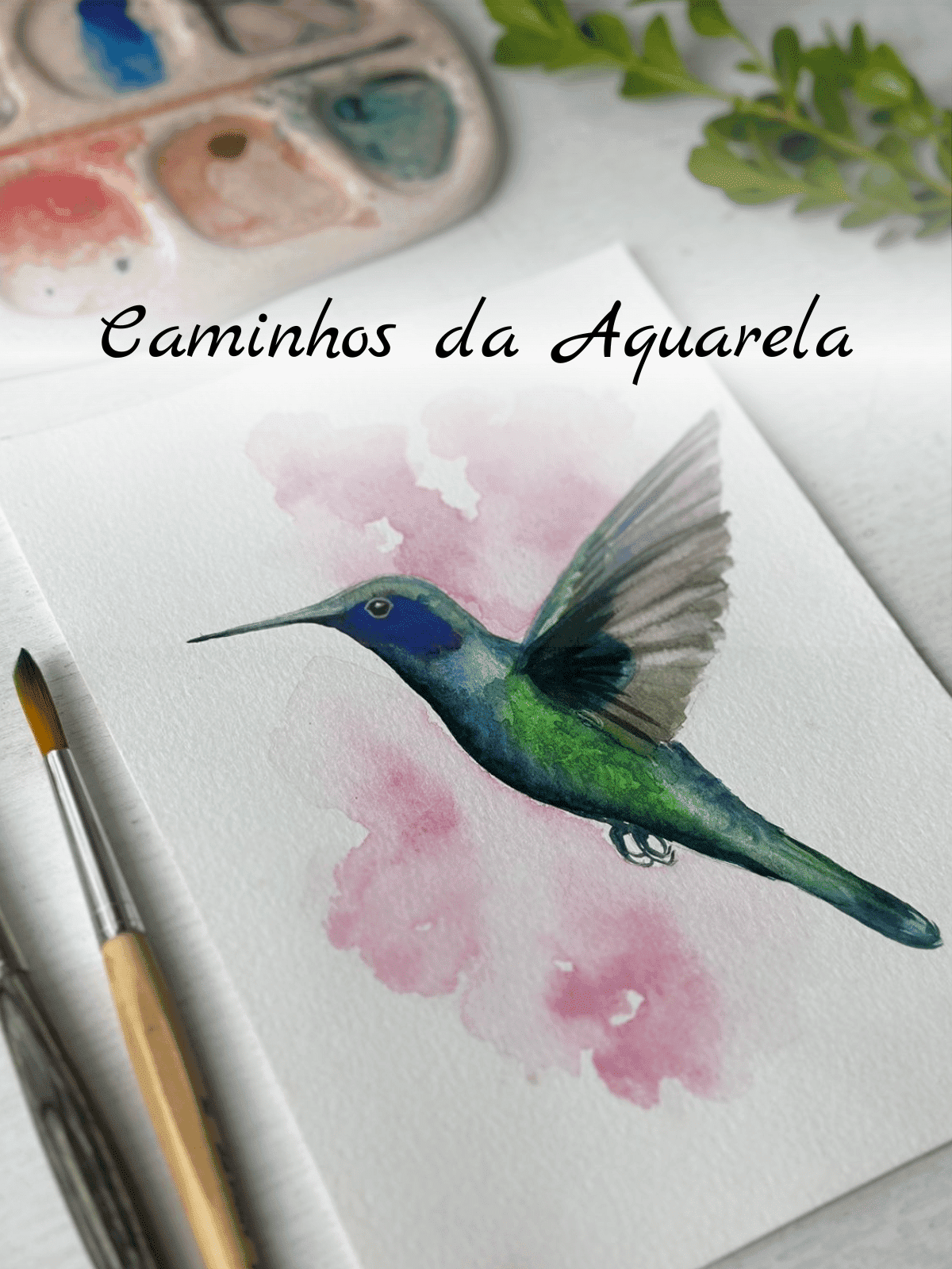 Caminhos da Aquarela