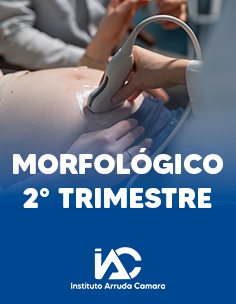 Morfológico 2° Trimestre