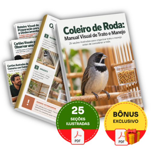 Coleiro de Roda - Plano Completo 