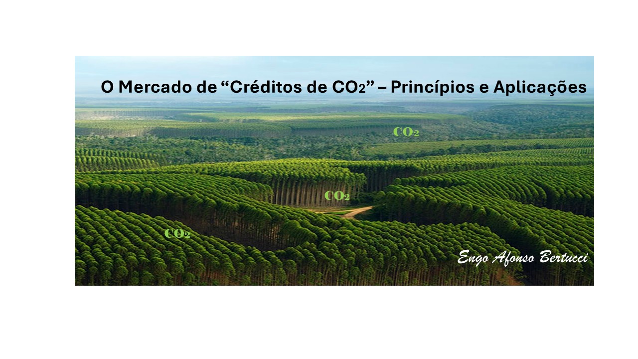 Mercado de "Créditos de CO2" - Princípios e Aplicações