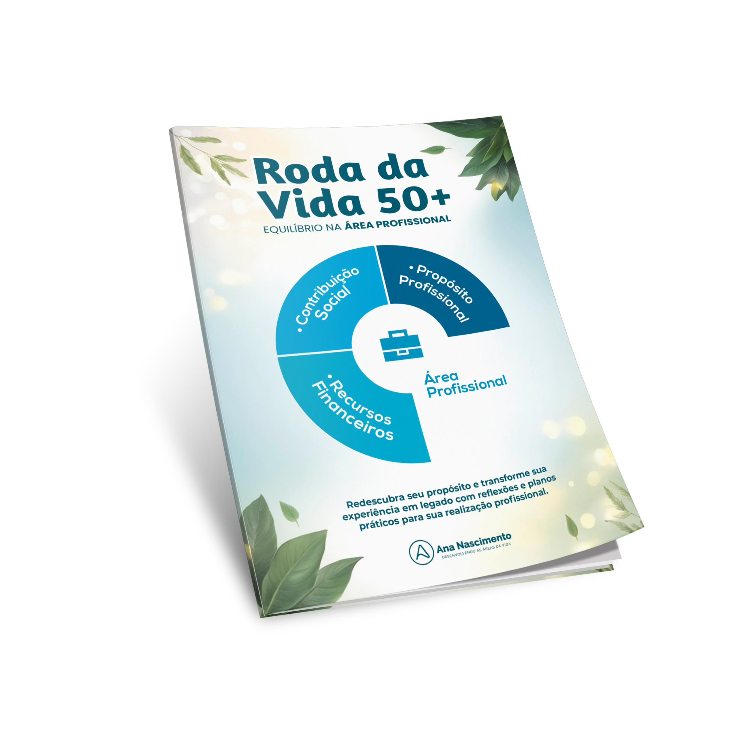 Ebook Roda da Vida 50+ | Área Profissional